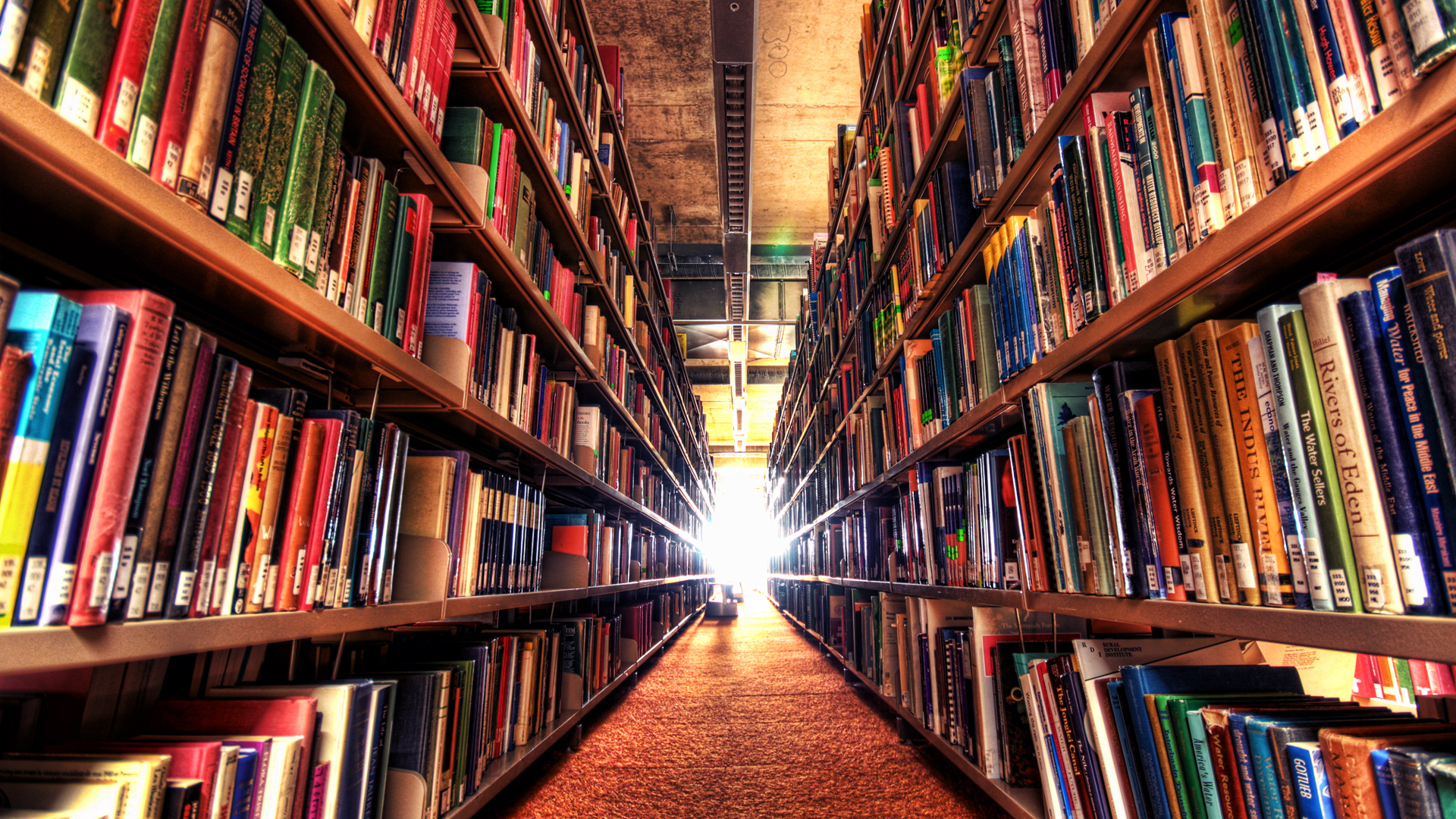 Bibliotekos vs. informacinės technologijos