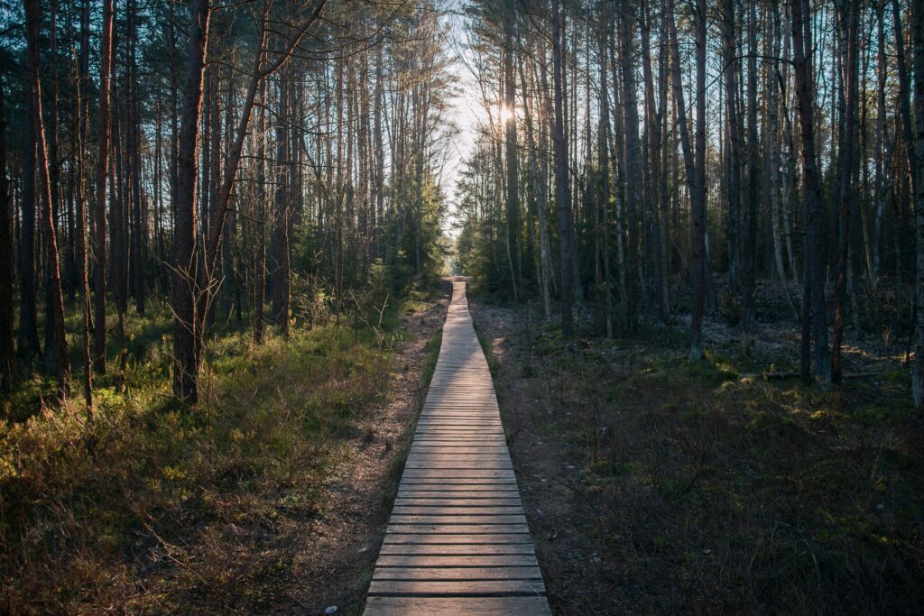 Nuotykių parkai Lietuvoje